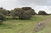 Sicily, the Iblei landscape 